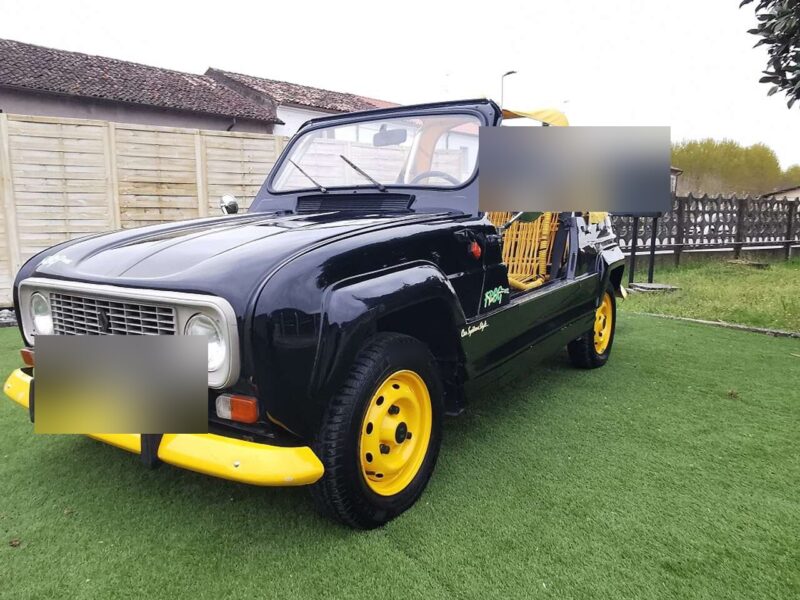 1987 Renault 4 950 Frog