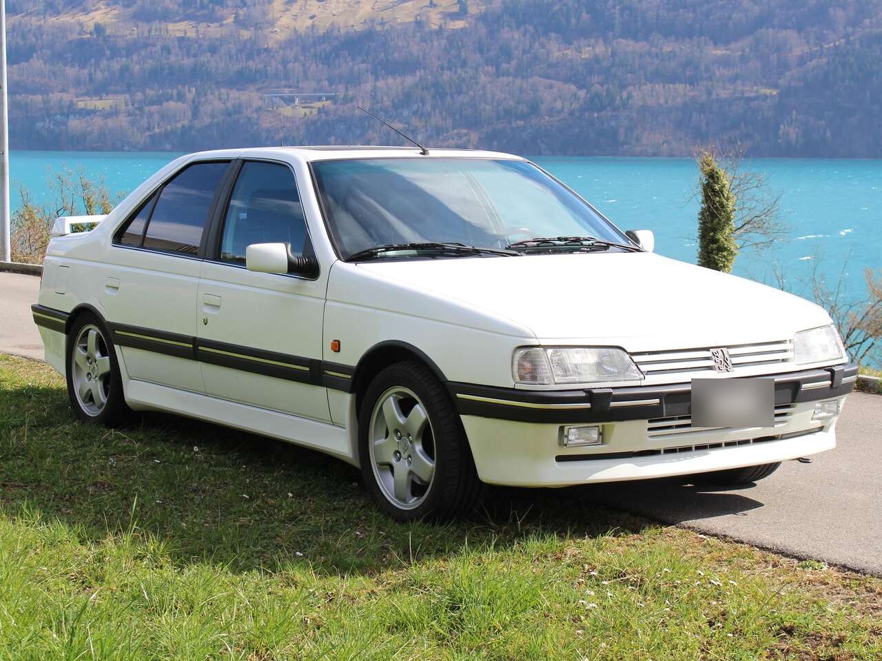 1994 Peugeot 405 T16 4WD
